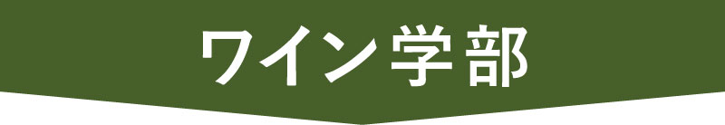 ワイン学部