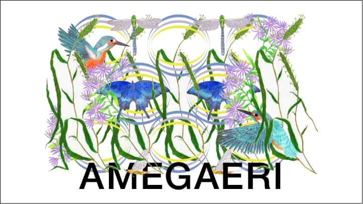 AMEGAERI