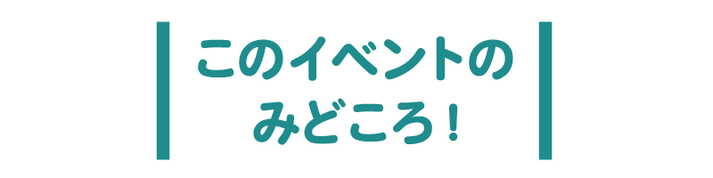 このセミナーのみどころ！